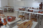 Laboratório de Anatomia - Campus UNICSUM